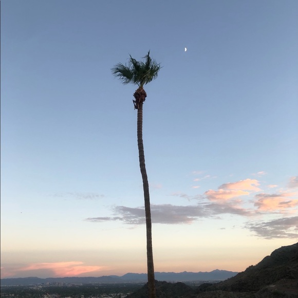 Meet your Posher, Rocio - Picture 1 of 1